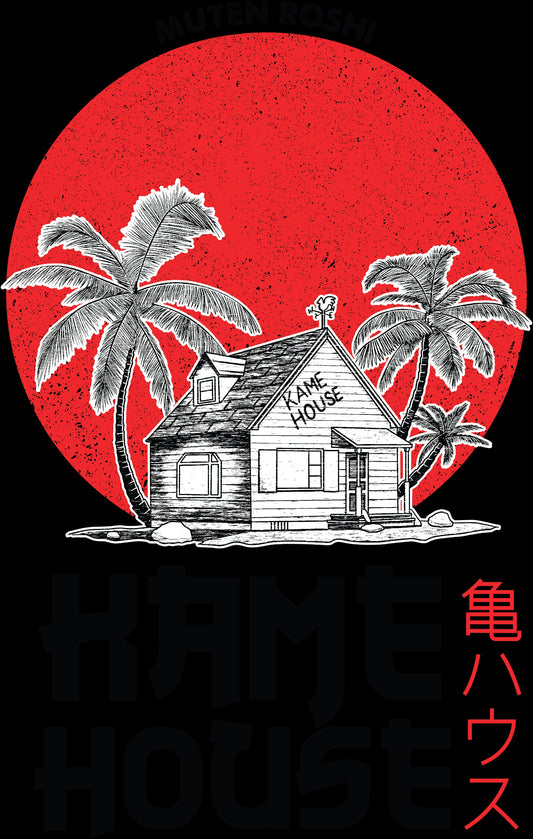 Dragon Ball Kame House Custom